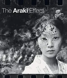 The Araki Effect - мініатюра 2