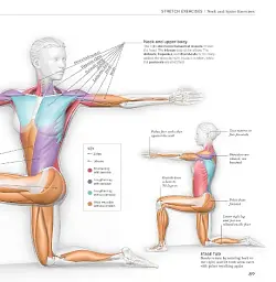 Science of Stretch - мініатюра 7