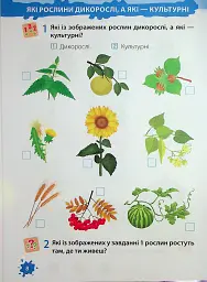 Я досліджую світ. Робочий зошит. 1 клас. Частина 2 - Лариса Мечник - мініатюра 9