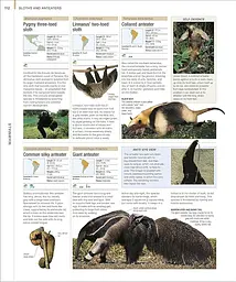 Animal. The Definitive Visual Guide - мініатюра 2