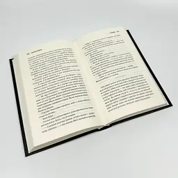 Грішник - Сімоне Сьєрра | Клуб Сімейного Дозвілля, книга українською, нова, тверда - мініатюра 3