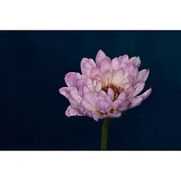 Спалах Godox Macro Ring Nikon (MF-R76N) [137775] - мініатюра 10