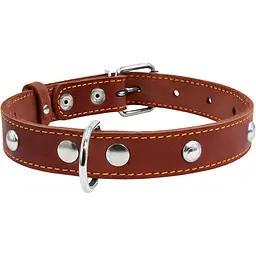 Нашийник одинарний Collar, з прикрасами, шкіра, 38-50х2,5 см, коричневий - мініатюра 2