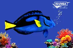 М'яка іграшка HANSA синій Танг, 33 см (8792) Hansa art8792 - мініатюра 2