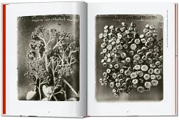 Karl Blossfeldt. The Complete Published Work. 40th Edition - Ганс Крістіан Адам - мініатюра 3