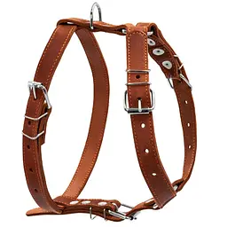 Шлея одинарна CoLLaR для середніх собак