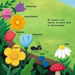Книжка для малечі. Якого кольору? - мініатюра 5