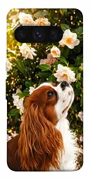 TPU чохол Demsky Flower spaniel для Google Pixel 8 Pro