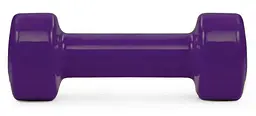 Гантелі вінілові PowerPlay 4125 Achilles 2 шт. x 2.5 кг фіолетові (15268) - мініатюра 3