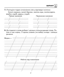Українська мова. 2 клас. Діагностичні роботи. До підручника М. С. Вашуленка - мініатюра 7