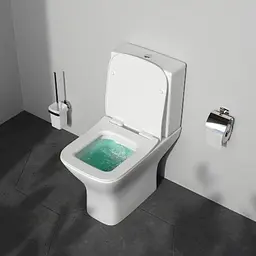 Унітаз-компакт AM.PM Gem без обідка з сидінням мікроліфт white CGA8601SC - мініатюра 3
