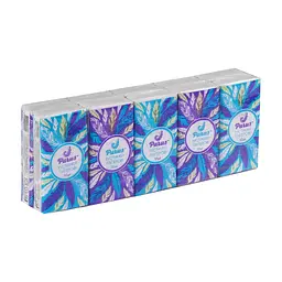 Серветки косметичні Parus 2 шари 10 шт. х 10 пачок (4820044170110)