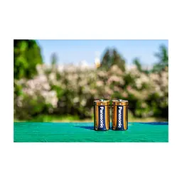 Батарейка Panasonic D LR20 Alkaline Power x 2 (LR20REB/2BP) - мініатюра 4