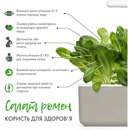 Змінний картридж Click & Grow Smart Garden Салат Ромен, 3 капсули (8820) - мініатюра 4