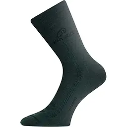 Шкарпетки Lasting WLS 620 Green M (1054-002.003.1357)