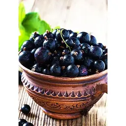 Саджанець Agro-Market Смородина чорна Ювілейна Копаня (середньо-пізній термін дозрівання) 1 шт. в упаковці (17545) - мініатюра 2