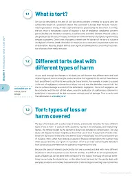 Tort Law Directions - Vera Bermingham - мініатюра 3