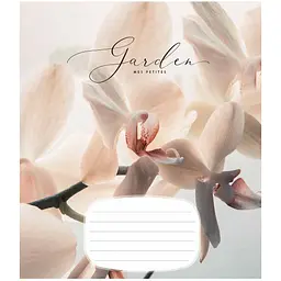 Зошит учнівський Школярик Secret garden у клітинку 24 аркуші 25 шт. (024-3233K) - мініатюра 2