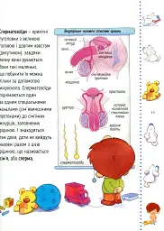 Звідки я взявся? Правдиві відповіді на "незручні" запитання - Хосе Р. Діас Морфа - мініатюра 12