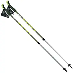 Палиці для скандинавської ходьби Gabel Ritmo Green (7008350760000) телескопічні