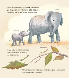Дивовижна природа : Дивовижні дитинчата тварин - мініатюра 5