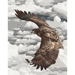 Картина за номерами Велич польоту орла. Птахи 40x50 см Art Craft 11507-AC
