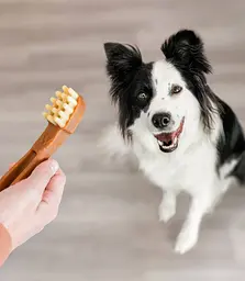 Натуральні ласощі для зубів собак WHIMZEES Dental Treats Toothbrush S 24 шт. - мініатюра 4