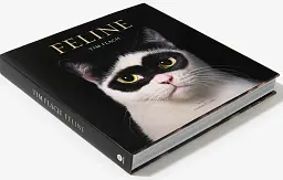 Feline - мініатюра 2