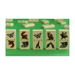 Настільна гра Capstone Games Renature (Розквіт), англійська (5060226932955) - мініатюра 3