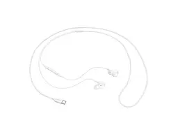 Навушники Samsung Type-C Earphones (IC100) White (EO-IC100BWEGRU) - мініатюра 2