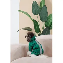Комбінезон Pet Fashion EGO ХS2 зелений для собак - мініатюра 8