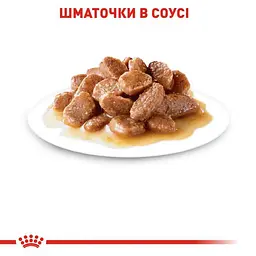 Вологий корм для дорослих кішок Royal Canin Instinctive, шматочки в соусі, 85 г - мініатюра 3