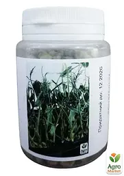 Насіння Agro-Market Мікрозелень горох у банці 40 г (45206) - мініатюра 2