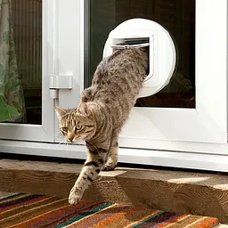 Дверцята SureFlap для котів із розпізнаванням мікрочіпа - мініатюра 3
