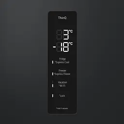 Холодильник LG GC-B509FTZW - мініатюра 19