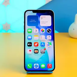 Смартфон Apple iPhone 12 Pro Max 256GB Silver (MGDD3) Б/В [162770]