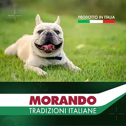 Вологий корм для собак Morando Tradizioni беззерновий паштет з куркою, картоплею та горохом 150 г - мініатюра 6
