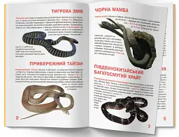 Велика книжка. Отруйні змії - мініатюра 2