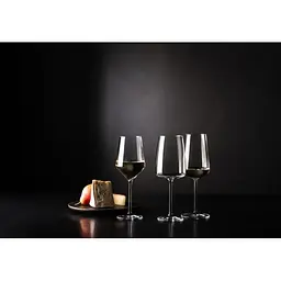 Келих для білого вина Schott Zwiesel Sauvignon Blanc Pure 408 мл 1 шт. (122314) - мініатюра 7