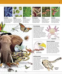 Knowledge Encyclopedia Animal! - мініатюра 3