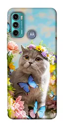 Чохол Demsky Spring cat для Motorola Moto G60