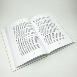 Не дрейф — Джен Сінсеро | BookChef, книга українською, нова, тверда - мініатюра 3