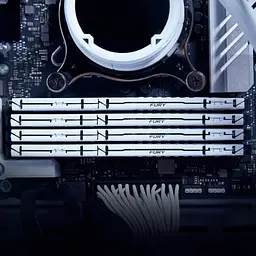 Модуль пам'яті для комп'ютера DDR5 64GB (2x32GB) 5600 MHz Beast White EXPO Kingston Fury (ex.HyperX) (KF556C36BWEK2-64) - мініатюра 6