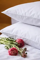 Комплект постільної білизни Ecotton 150х215 см полуторний із перкалю білого кольору White (25512)