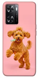 TPU чохол Demsky Happy poodle для Oppo A57s