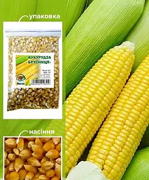 Кукурудза цукрова Весна "Брусниця" 500 г (35595) - мініатюра 2