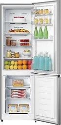 Холодильник Hisense RB329N4ACE (BCD-255WY) (6876210) - мініатюра 2