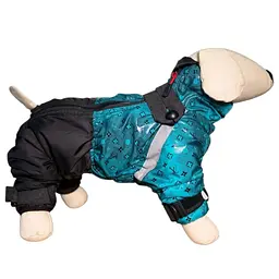 Комбинезон Diego snow sintepon print M Бирюзовый - 4-размер