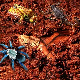 Тропічний субстрат Komodo Tropical Terrain 6 л (U46015) для терраріумів із високою вологістю - мініатюра 5