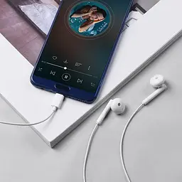 Навушники Hoco L10 Acoustic Type-C wired earphones with mic - мініатюра 4